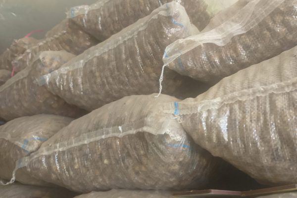 WhatsApp Image 2025-08-26 at 8.16.30 PM