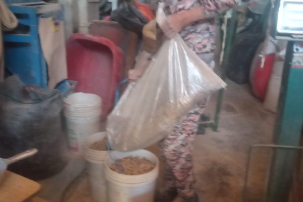 WhatsApp Image 2025-08-26 at 8.22.11 PM